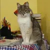 Отзыв от Тамара Тимофеева